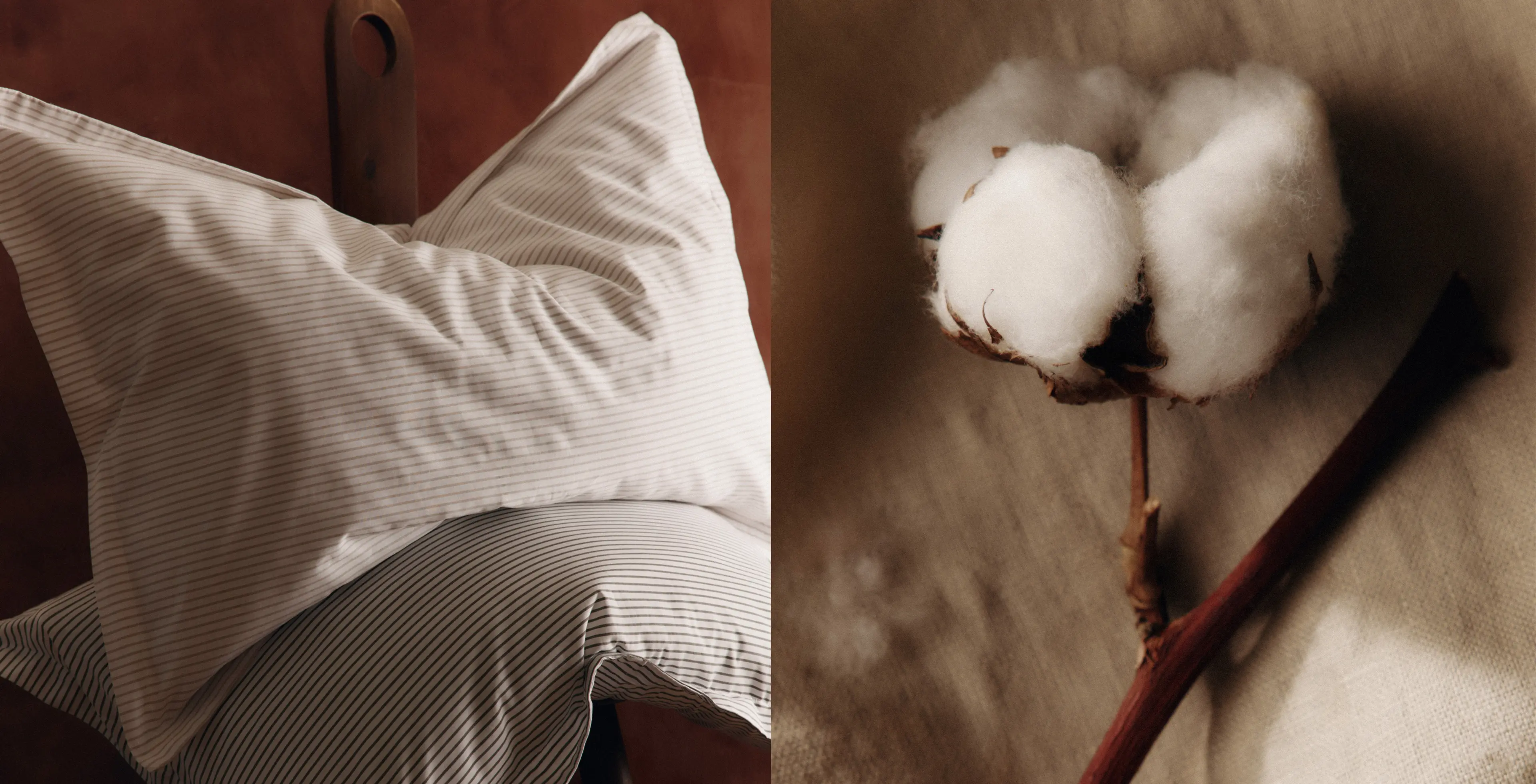 Ethical Basics, Impactful Change